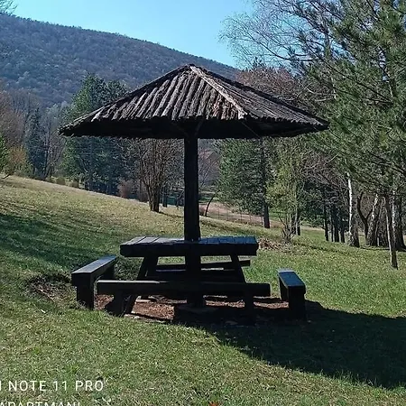 Apartment Ninarelax Soko Banja
