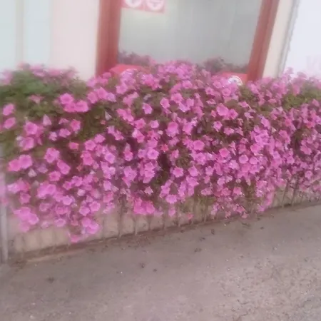 Ninarelax Apartmán Soko Banja